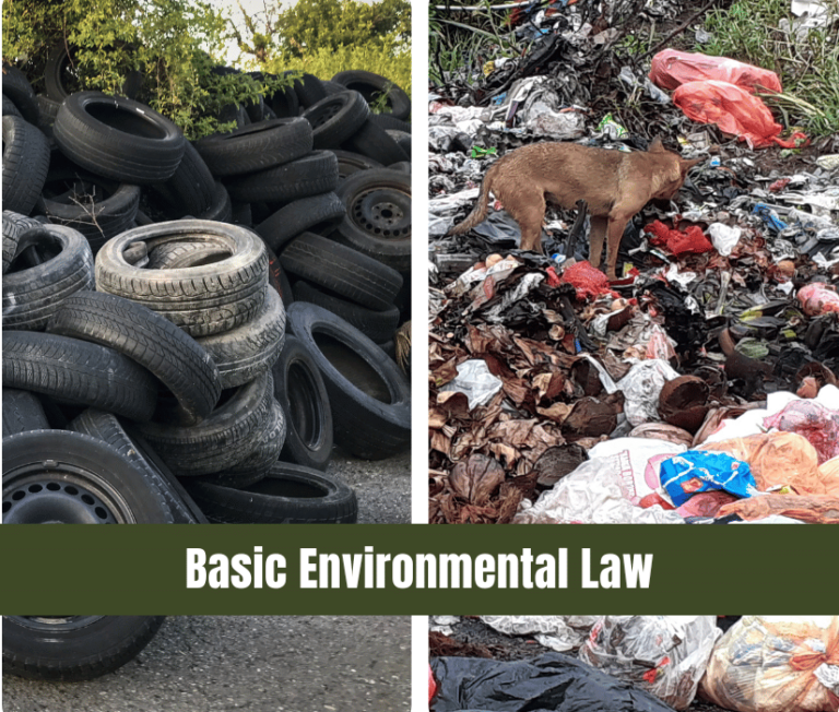 Basic Environmental Law Course image