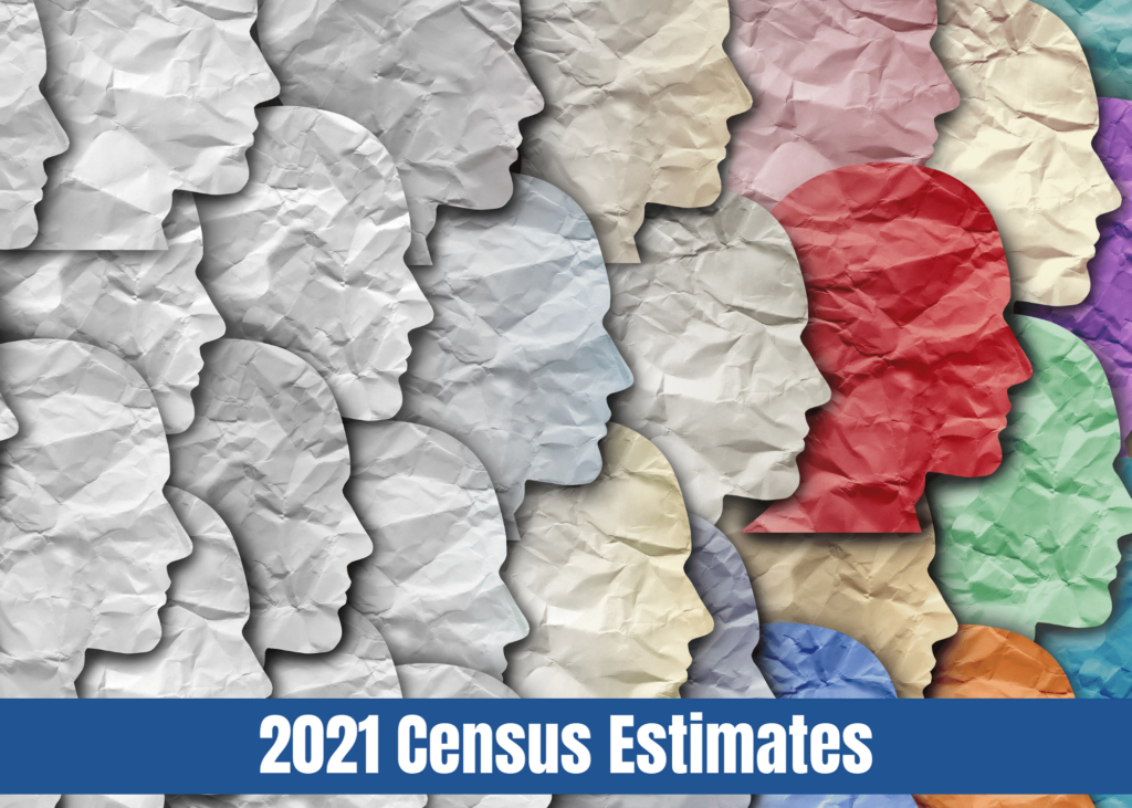 2021 Census Estimates image