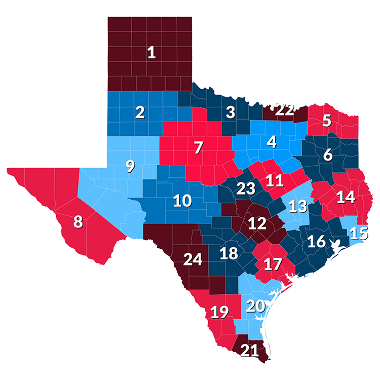 texas shape with cog regions outlined