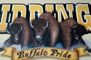 A wall mural in Giddings ISD of three buffalos that reads "Giddings Buffalo Pride".