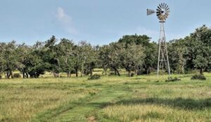 The countryside in Round Mountain, Texas.